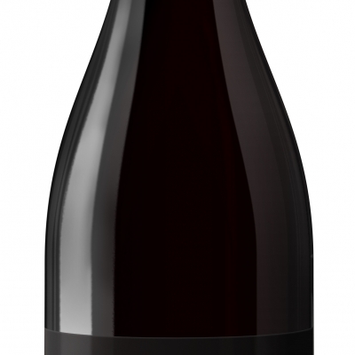 Pinot Noir, zástupce červených vín