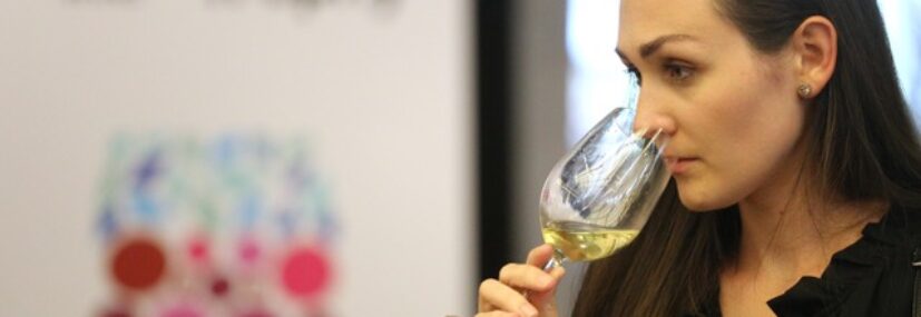 Galadegustace: Prague Wine Trophy